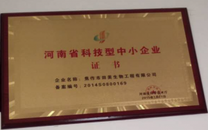 资质荣誉